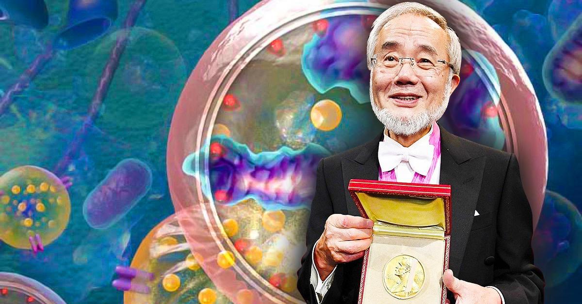 Диета Японского Ученого Получившего Нобелевскую Премию