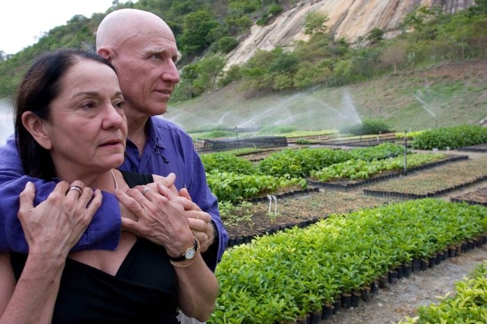Бразильский фотограф и его жена посадили за 20 лет 2,5 миллионов деревьев